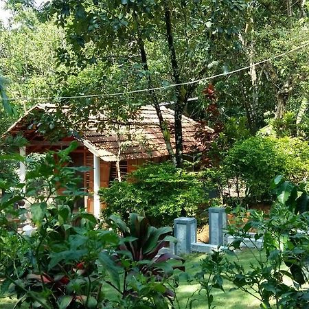Hotel Leisure Vacations Whispering Woods Madikeri Exteriér fotografie
