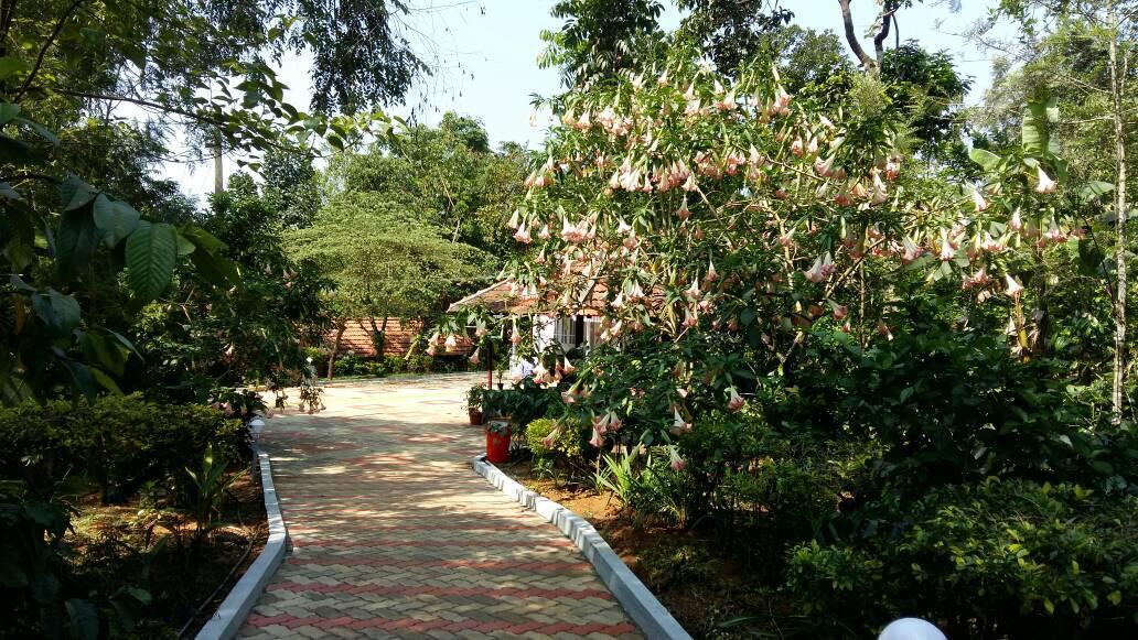 Hotel Leisure Vacations Whispering Woods Madikeri Exteriér fotografie