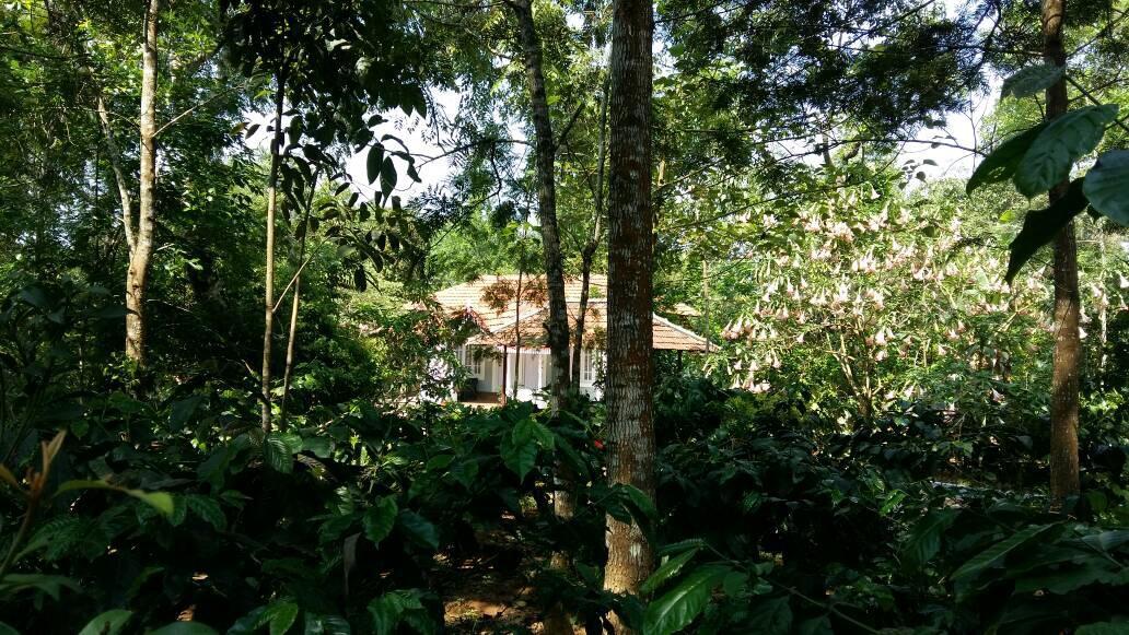 Hotel Leisure Vacations Whispering Woods Madikeri Exteriér fotografie