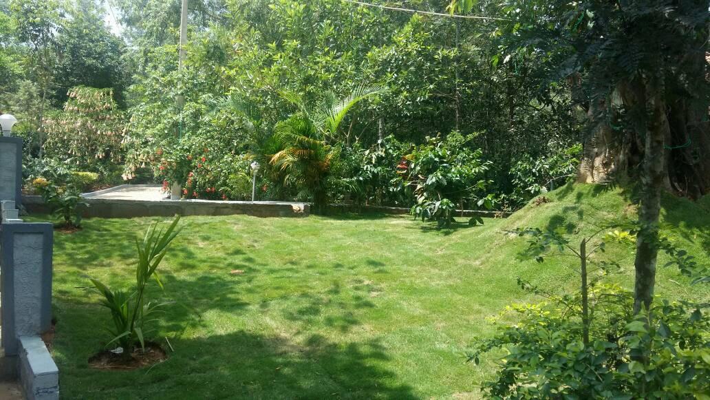 Hotel Leisure Vacations Whispering Woods Madikeri Exteriér fotografie
